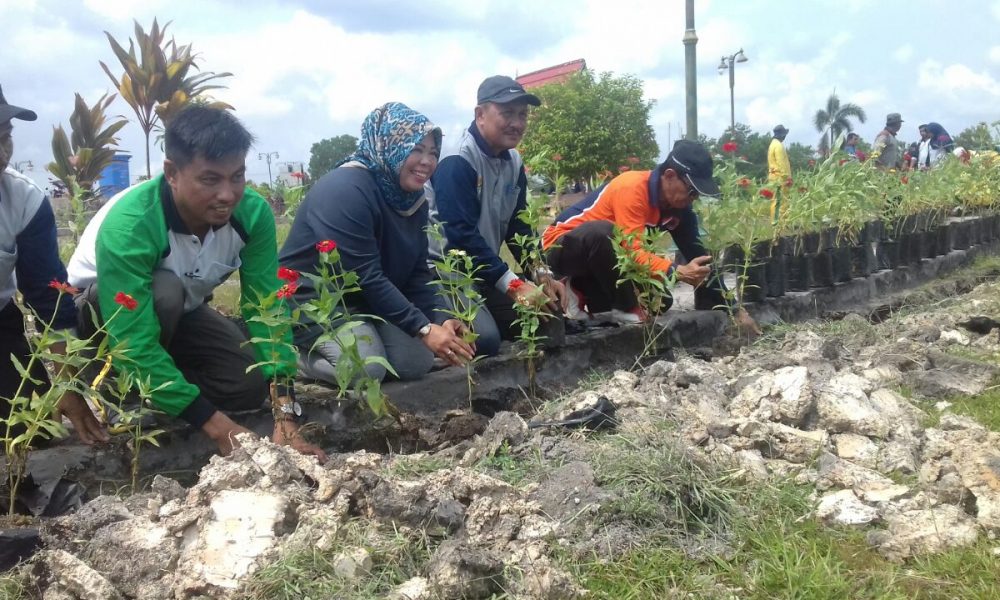 Serius Perindah Kota, Bupati Cek Taman Bundaran Pangkalan Lima