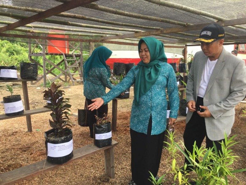 Ketua TP-PKK Seruyan Ajak Masyarakat Menanam Tumbuhan Berkasiat Untuk Obat
