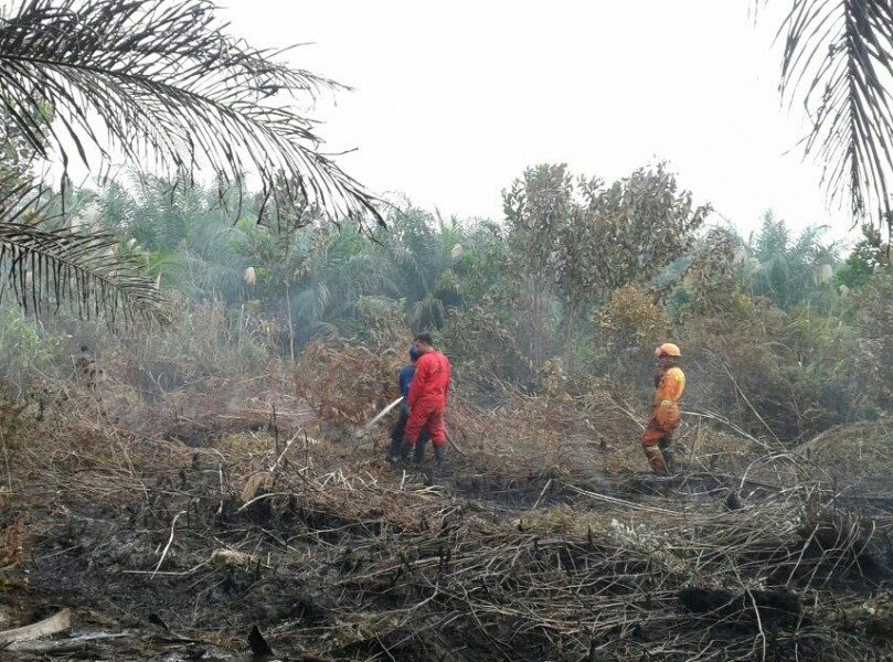 Kobar Diguyur Hujan,Tim Satgas Karhutla Tetap Waspada