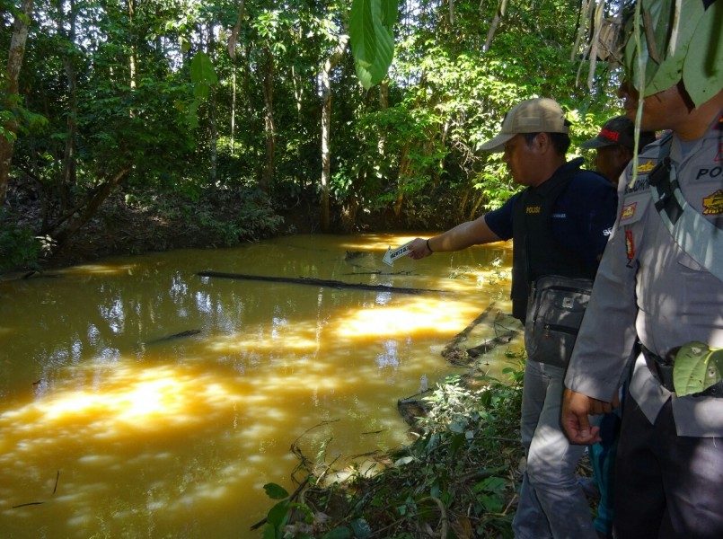Diduga Dimangsa Buaya, Warga Seruyan Tengah Ditemukan Tewas Mengenaskan