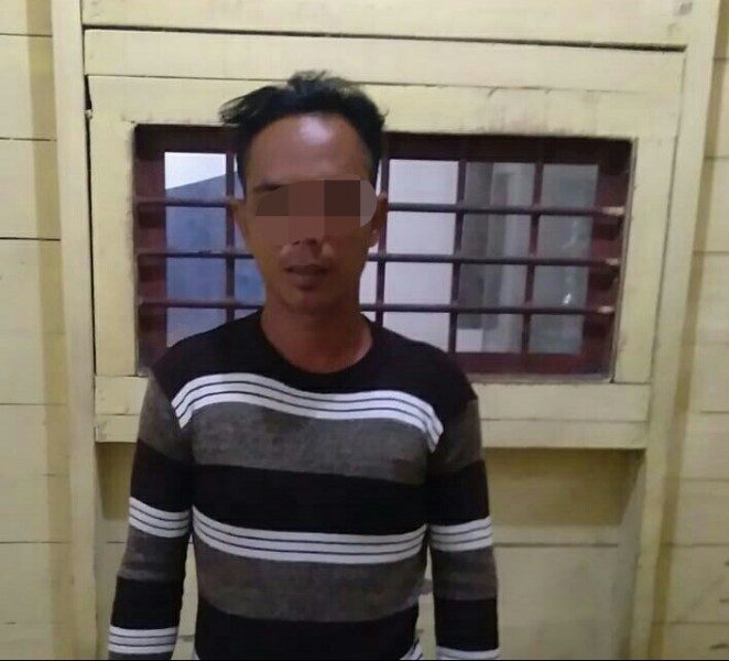 Pencuri Tiga Ons Sarang Walet Dibekuk Polisi