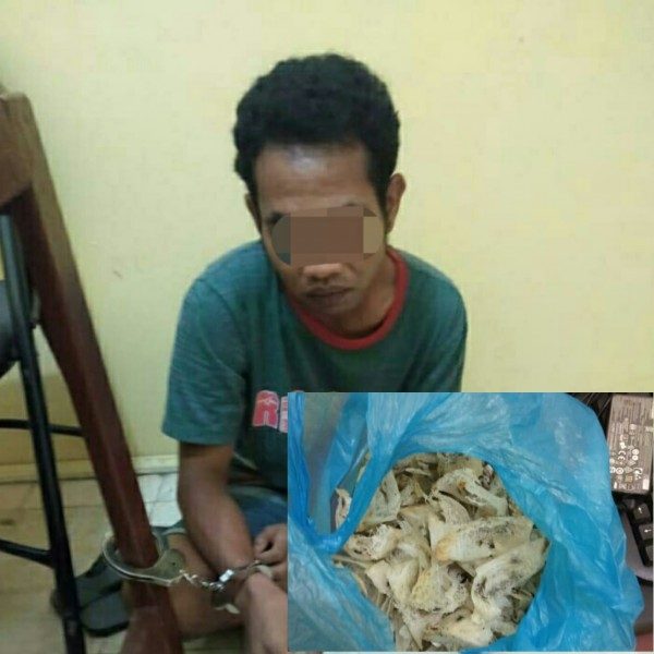 Pencuri Sarang Walet Diringkus Saat Membawa Hasil Curian