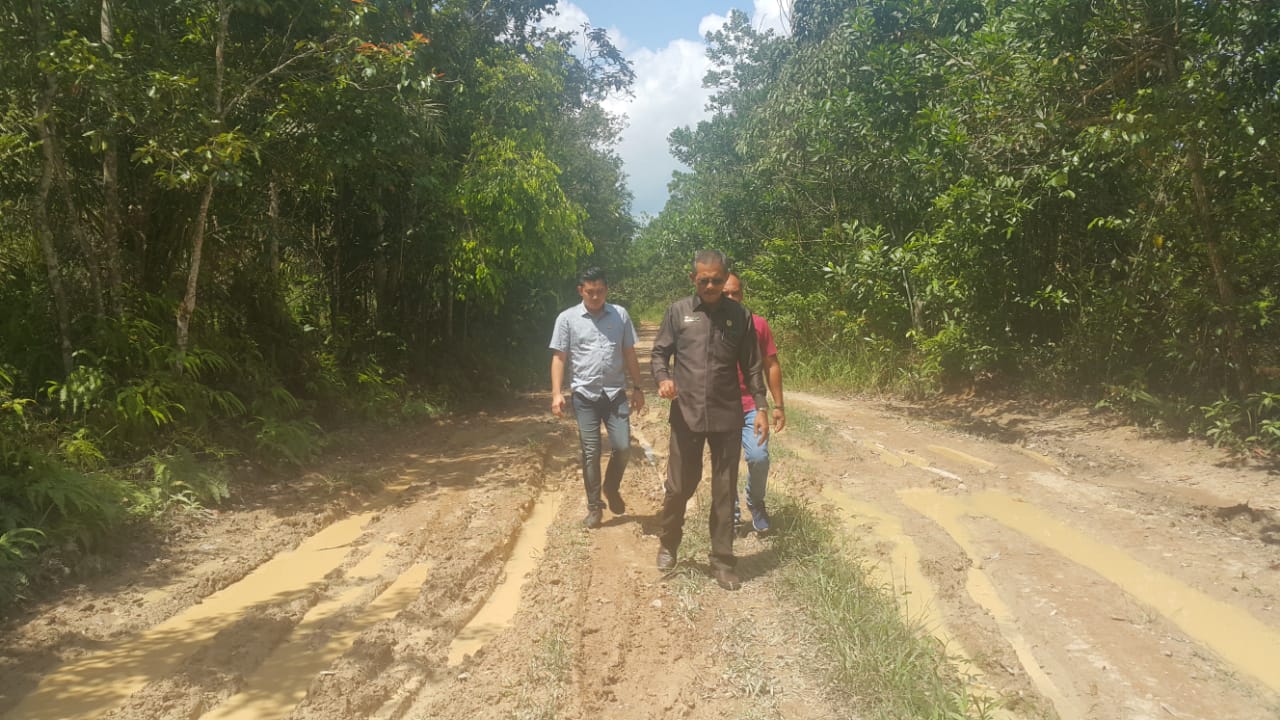 Parah, Tergadai ke PT Wilmar, Aset Daerah Terbengkalai