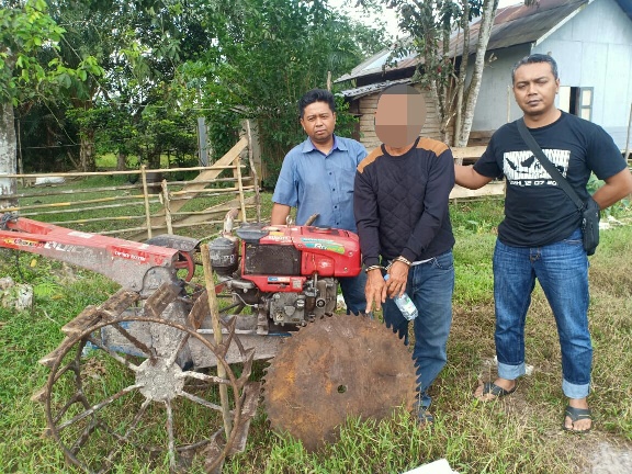 Polisi Tangkap Pelaku Ilegal Logging di Cempaga