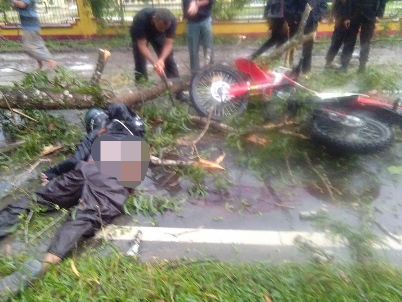 Pengendara Motor Tewas Usai Menabrak Pohon Tumbang