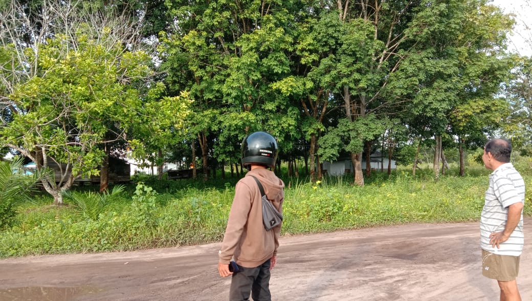 Warga Palangka Raya Gasak Sarang Walet Majikannya