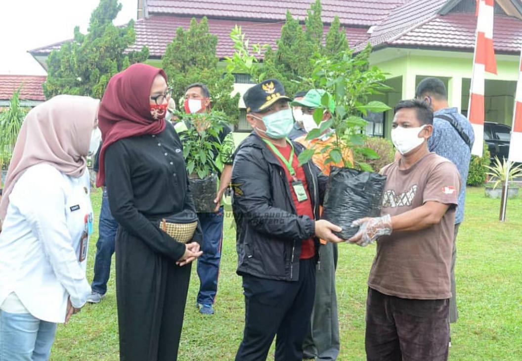 Gubernur Kalteng Salurkan Bantuan 25.000 Bibit Cabai dan Jeruk