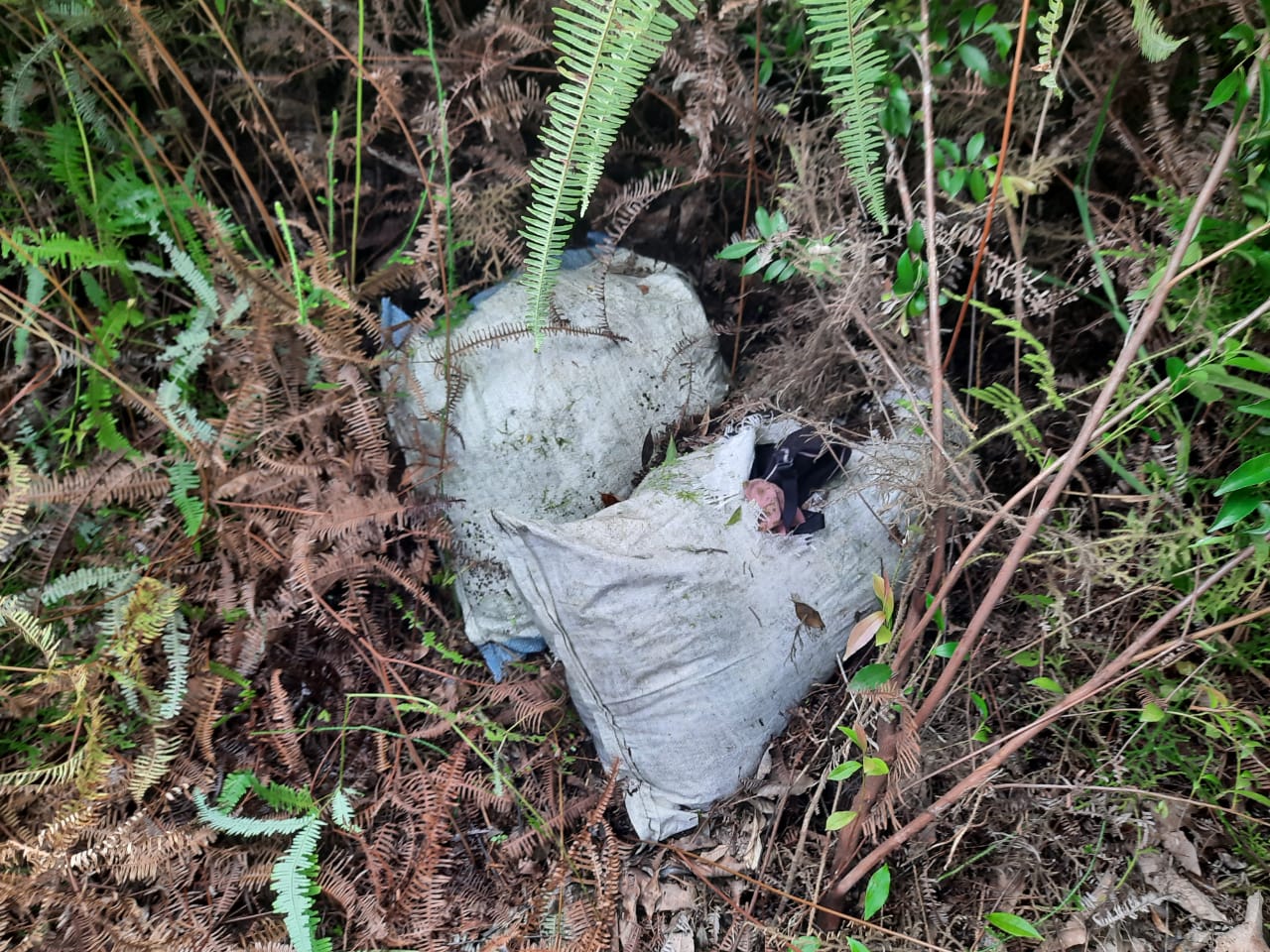 Polisi Temukan 5 Karung Pakaian Dalam Wanita Berceceran dalam Hutan