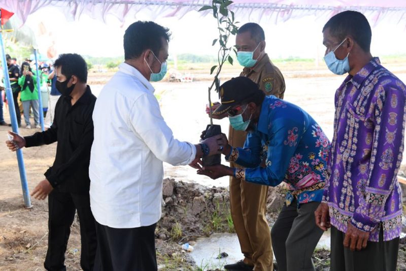 Penyerahan secara simbolis bantuan bibit jeruk oleh Menteri Pertanian Syahrul Yasin Limpo (baju putih).