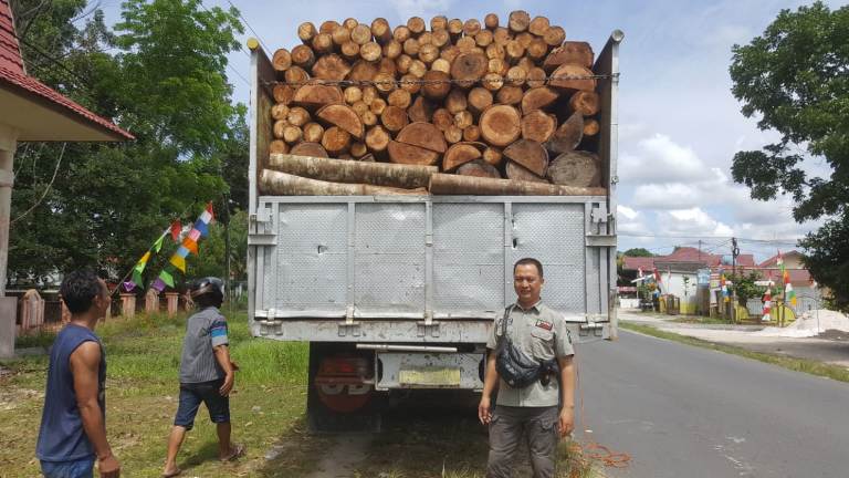 Balai Gakkum LHK Kalteng Gagalkan Penyelundupan Kayu Ilegal di Kobar