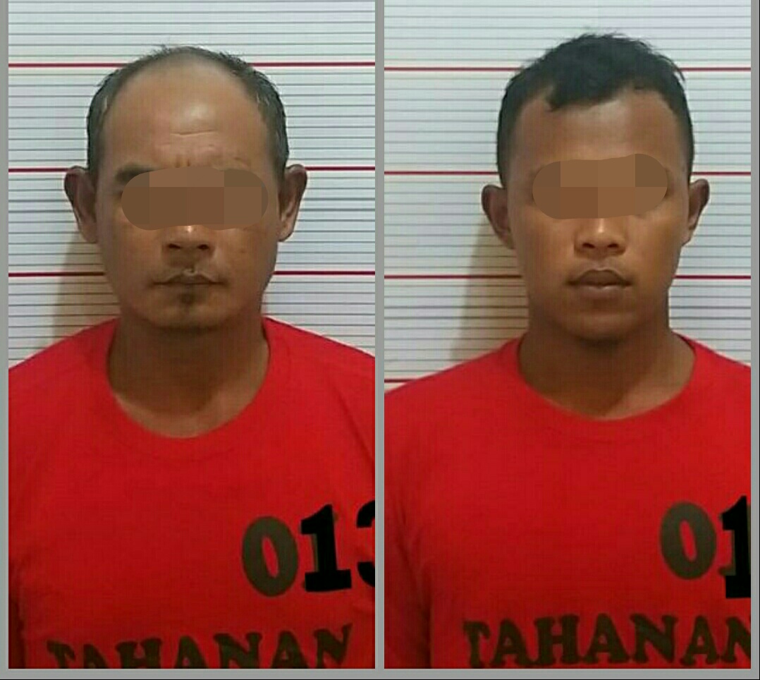 Kompak Curi Sawit, Bapak dan Anak Diringkus Polisi