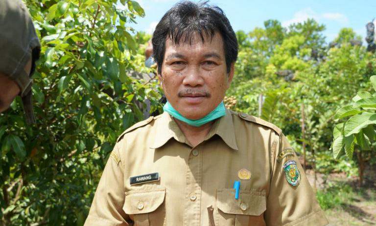 Melonjaknya Harga Cabai Dinilai Akibat Minimnya Pasokan