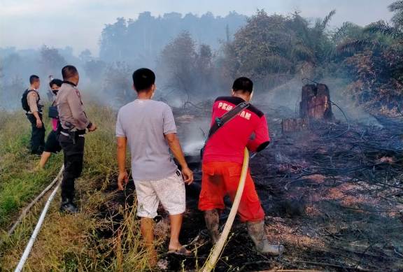 Lahan Seluas 3 Hektar di Lamandau Terbakar