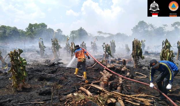 Dua Hari, Dua Kejadian Karhutla di Kobar