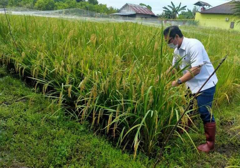 Pemko Fasilitasi Pengujian Kesuburan Tanah