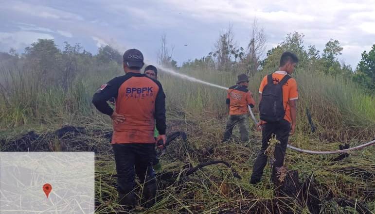 Lahan Gambut Seluas 5 Hektar Terbakar