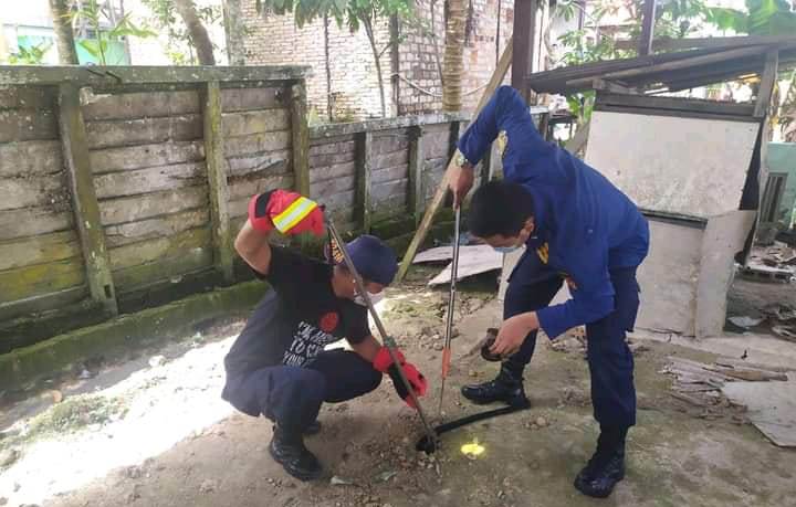 Petugas Damkar Tangkap Dua Ekor Ular Kobra