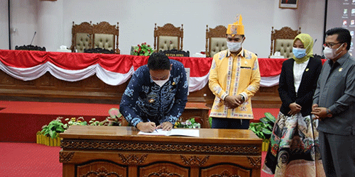 Sah! RPJMD Pulpis 2018-2023 Berubah