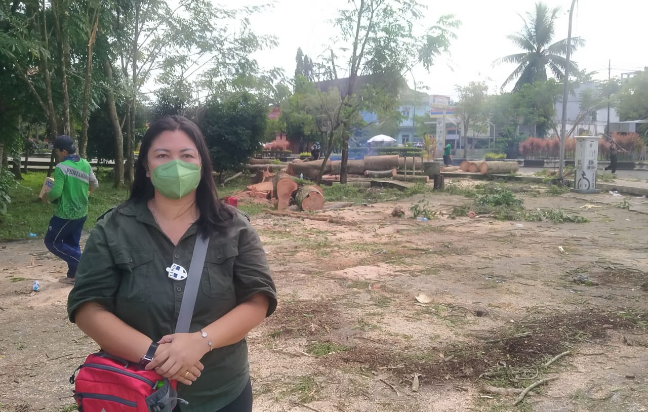 DLH Kapuas Tebang 22 Batang Pohon Dalam Kota