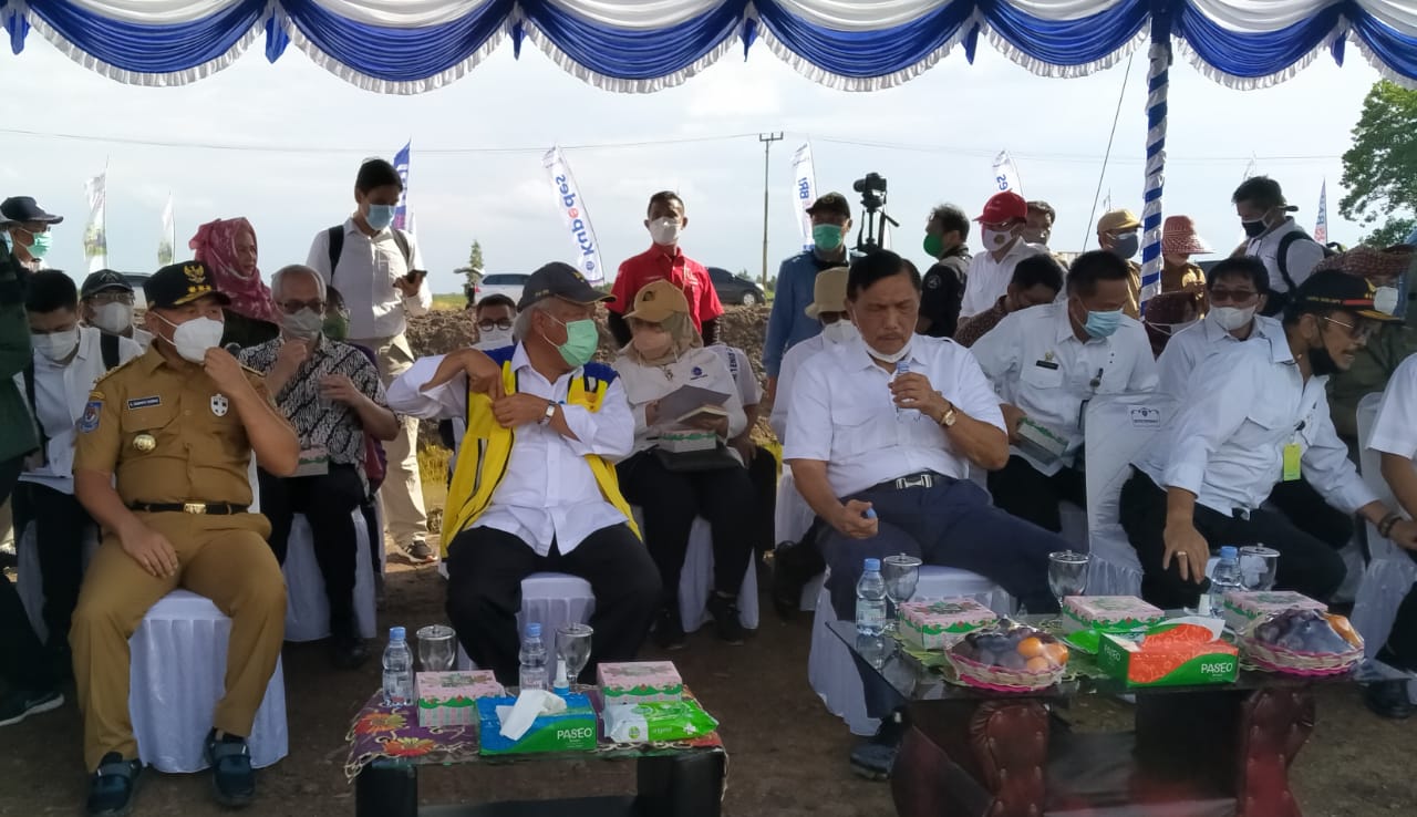 Food Estate Harus Dimanfaatkan Maksimal