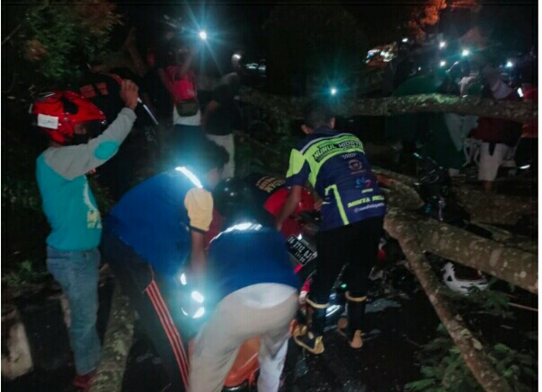 Ditimpa Pohon, Bapak dan Anak Nyaris Tewas