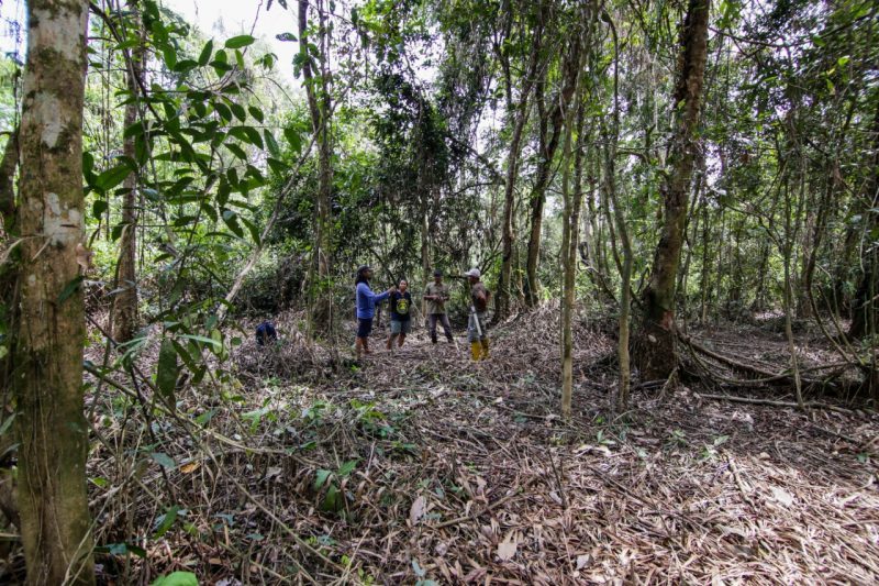 Bukit Bamba Berpotensi Jadi Hutan Penelitian