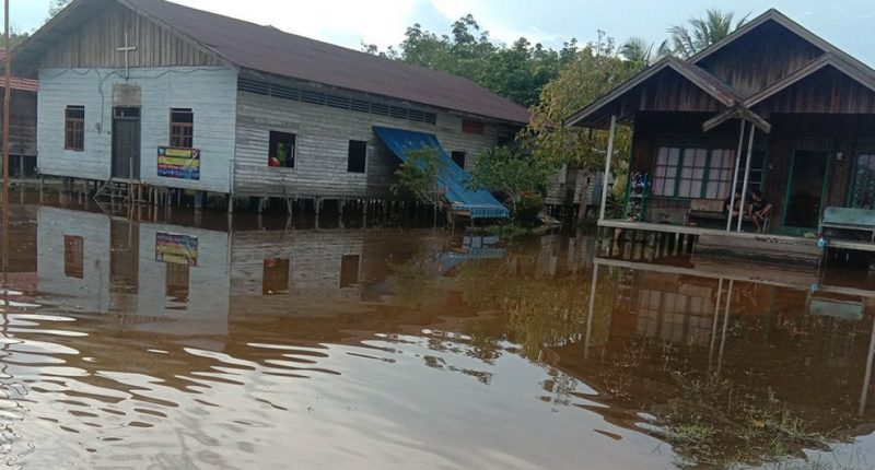Banjir saat menggenani ruas jalan di Pulang Pisau. 