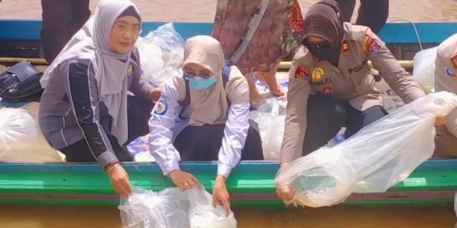 Diskan Tabur 65 Ribu Benih Ikan di Danau Teluk