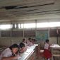 Sejumlah murid SD Marapit I Kecamatan Kapuas Tengah saat sedang mengikuti proses belajar mengajar di tengah bangunan sekolah yang sudah mulai lapuk dan rusak parah, Rabu (5/10). (Foto : IST). 