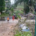 Petugas BPBD Katingan saat membersihkan pohon tumbang yang membentang di ruas Jalan Tjilik Riwut KM 1 Senin (20/2) sore. (Foto : BPBD Katingan)