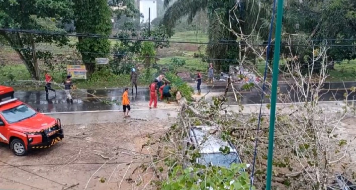 Petugas BPBD Katingan saat membersihkan pohon tumbang yang membentang di ruas Jalan Tjilik Riwut KM 1 Senin (20/2) sore. (Foto : BPBD Katingan)