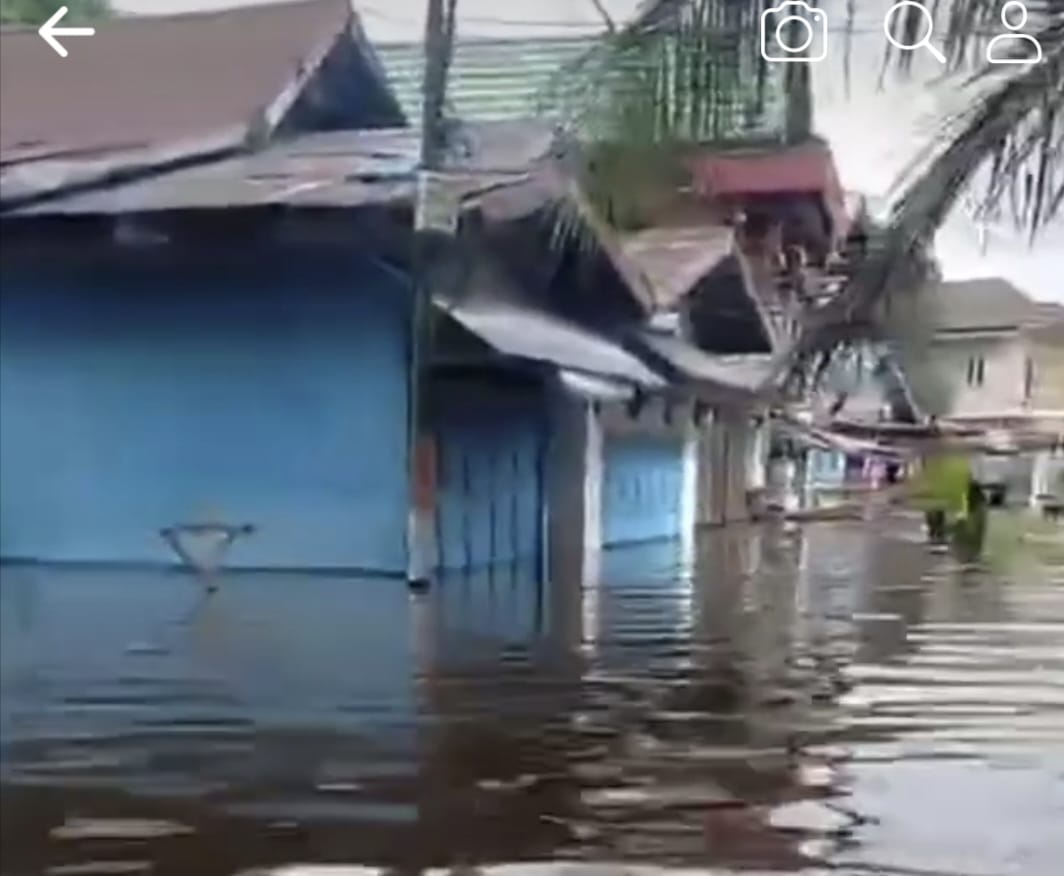 Enam Daerah di Kalteng Dilanda Banjir