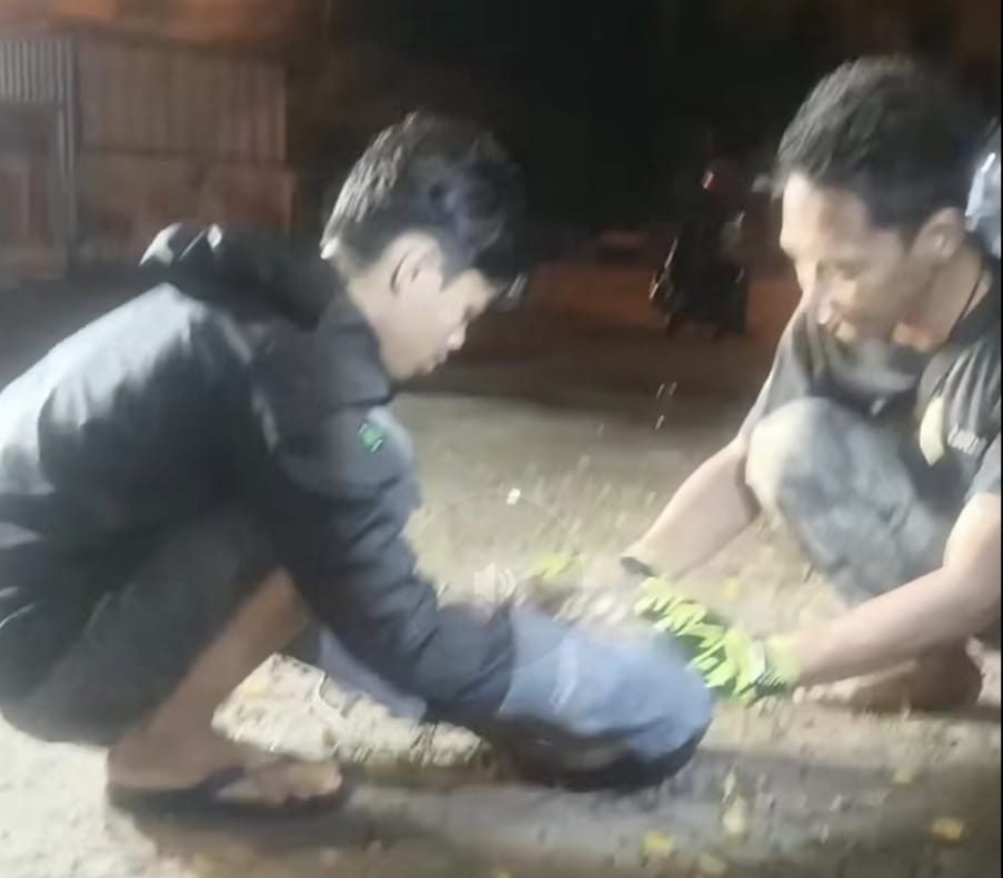Hewan Langka Hebohkan Warga G Obos