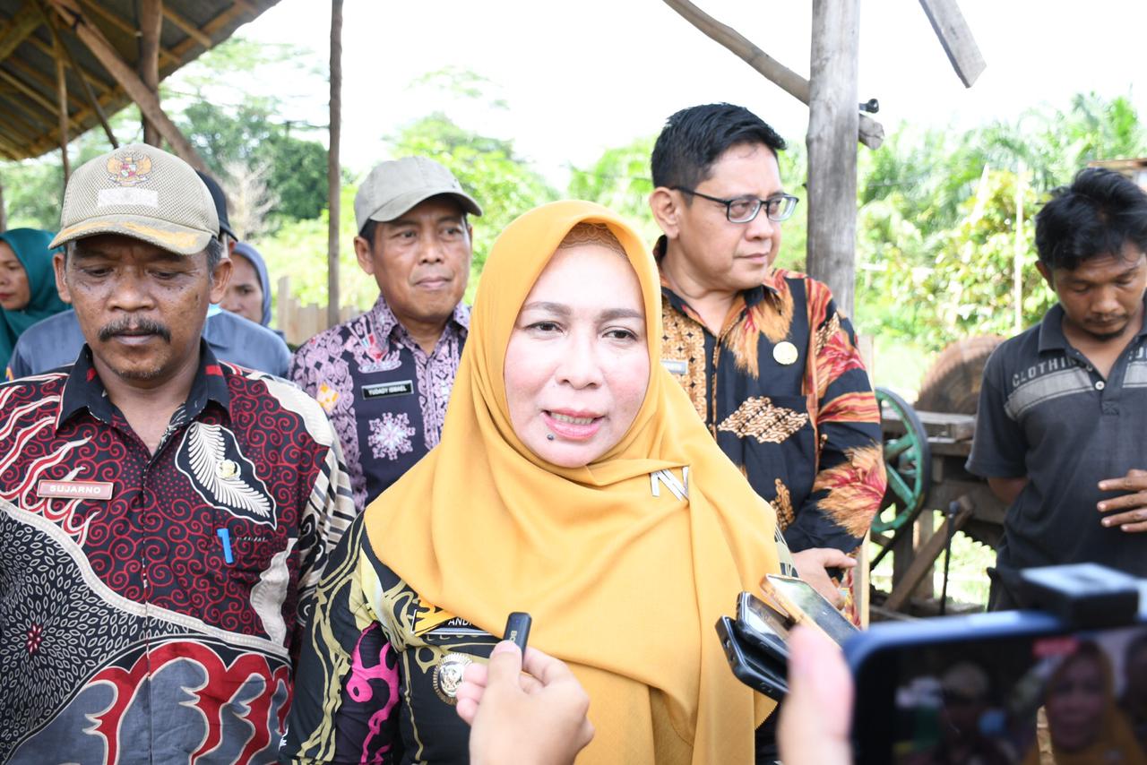 Pj Bupati Pulpis Pastikan Rekrutmen Penerima Beasiswa Hapakat Objektif