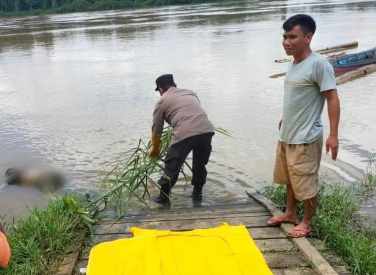 Mayat Pria Ditemukan Mengapung di DAS Katingan