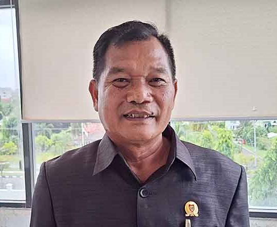 Kalteng Perlu BUMD Sektor Pertambangan