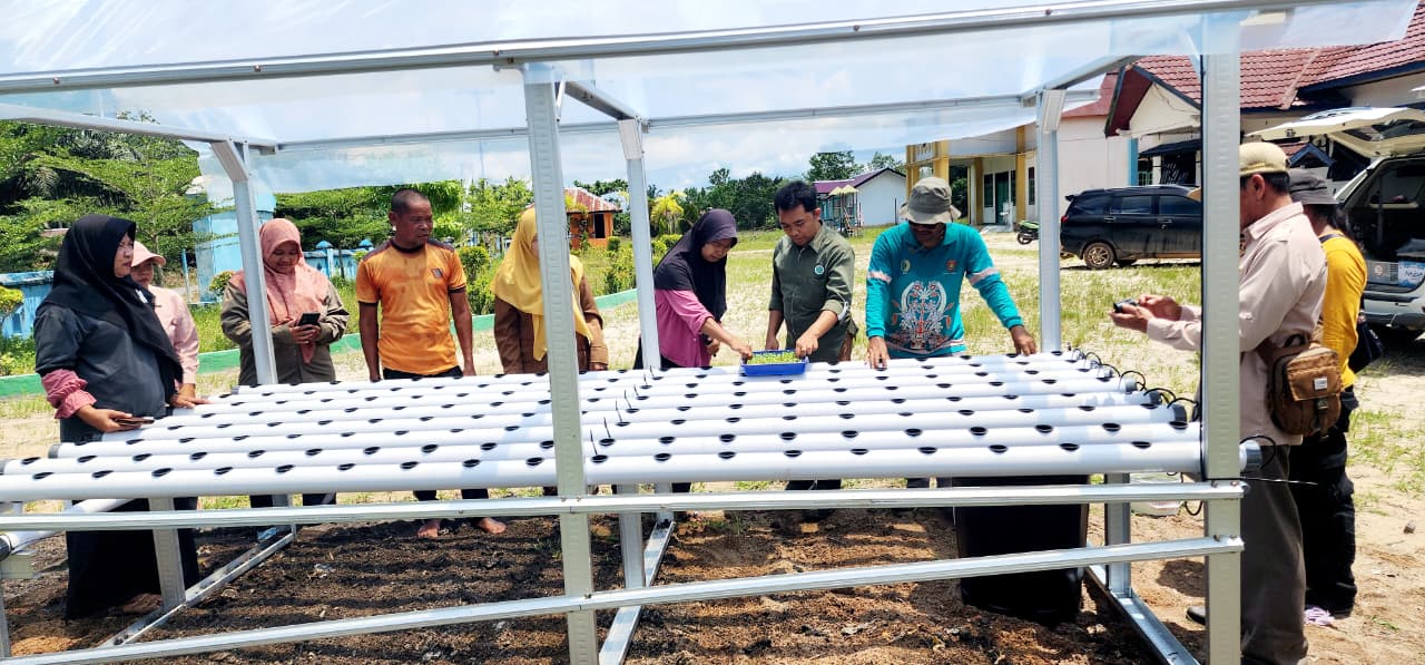 PT GSDI Kembangkan Hidroponik untuk Tingkatkan Gizi dan Pendapatan Masyarakat