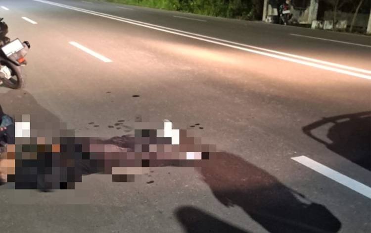 Diduga Laka, Pengendara Motor Terkapar di Jalanan