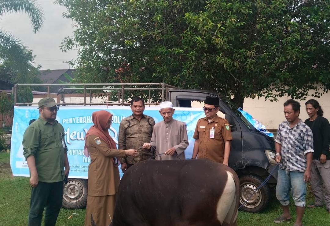Pemkab Kotim Terima 38 Ekor Sapi Kurban Bantuan Gubernur Kalteng 