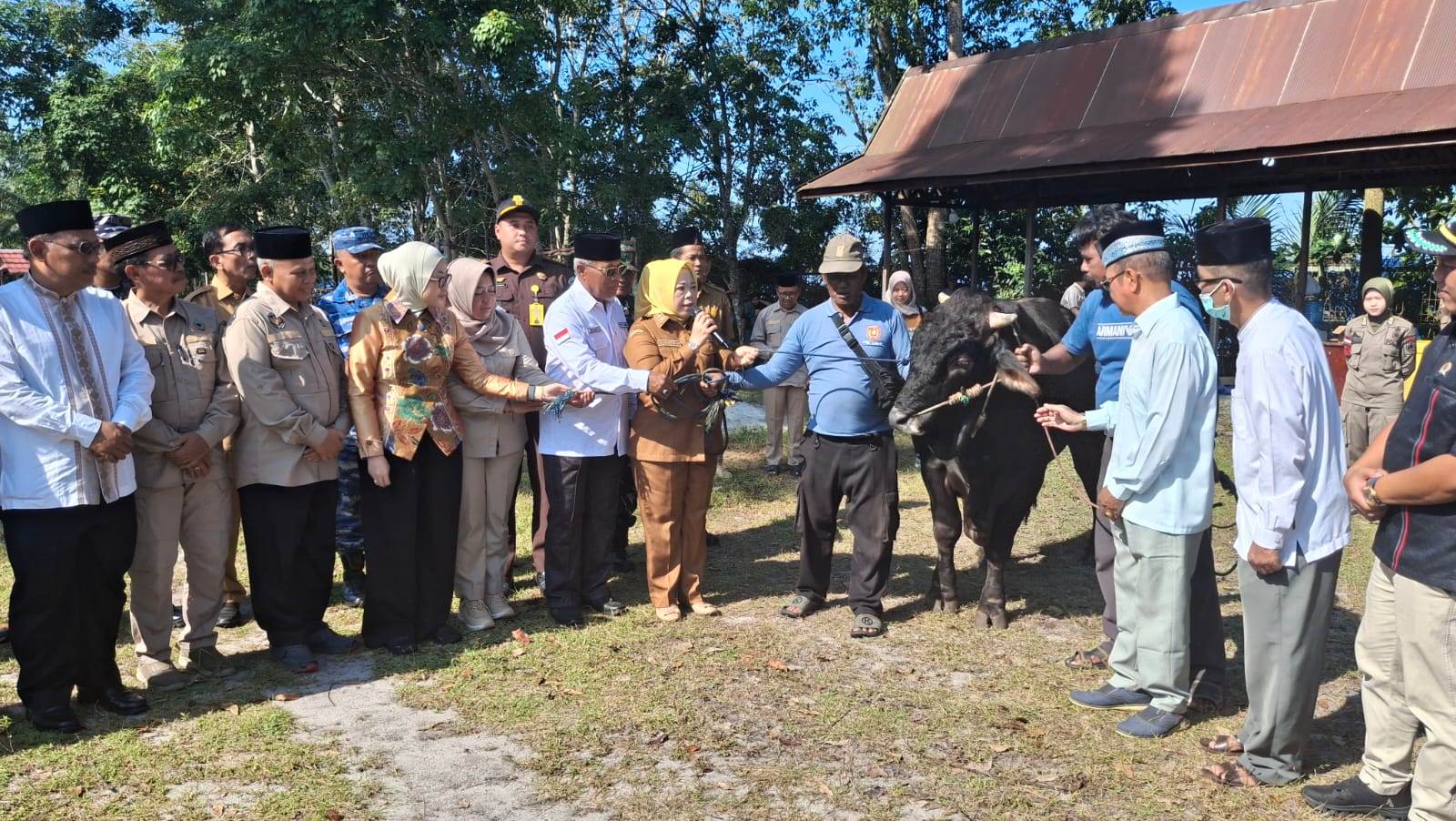 Pemkab Kobar Salurkan Hewan Qurban untuk Masyarakat 6 Kecamatan