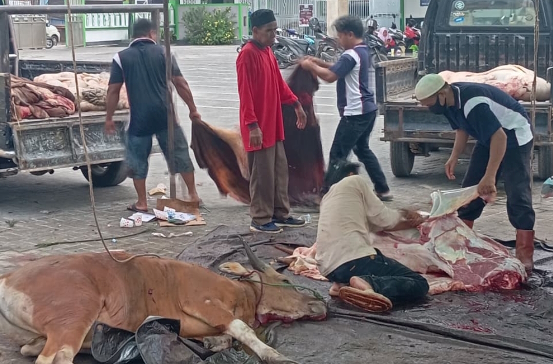 DLH Kotim Imbau Warga Tak Buang Limbah Kurban ke Drainase