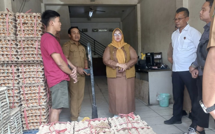 Jaga Stabilitas Harga, Wabup Kotim Sidak Distributor Telur