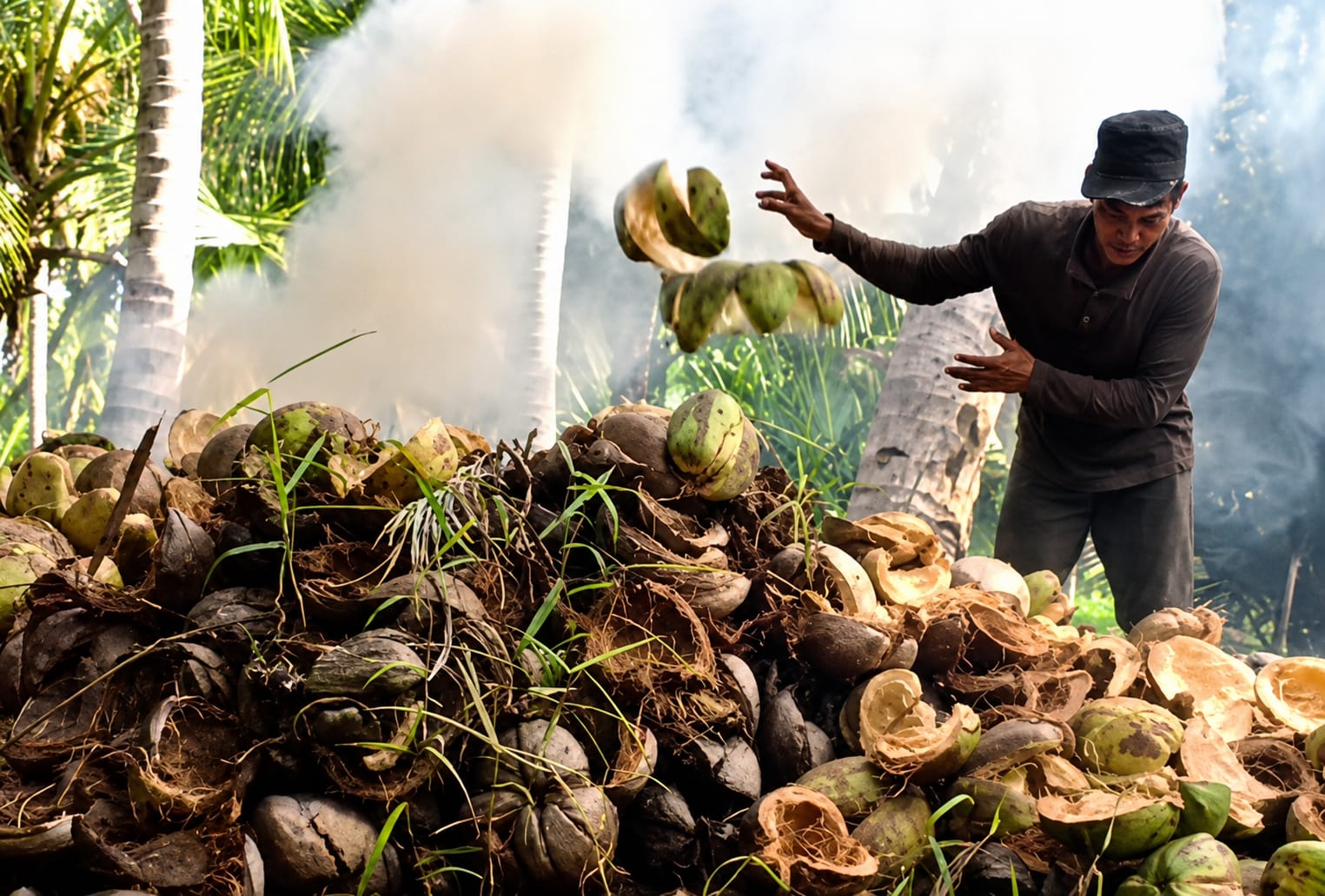 Pemkab Kotim Bakal Gandeng Investor untuk Pengembangan Kelapa 