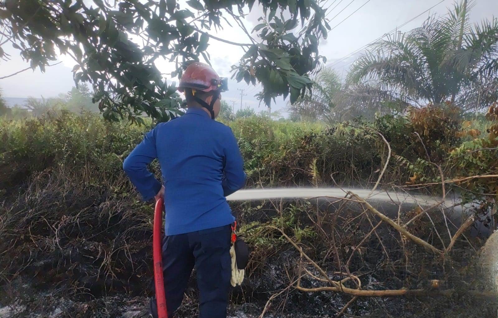 Pemkab Kotim Tangani Dua Kejadian Karhutla di Baamang