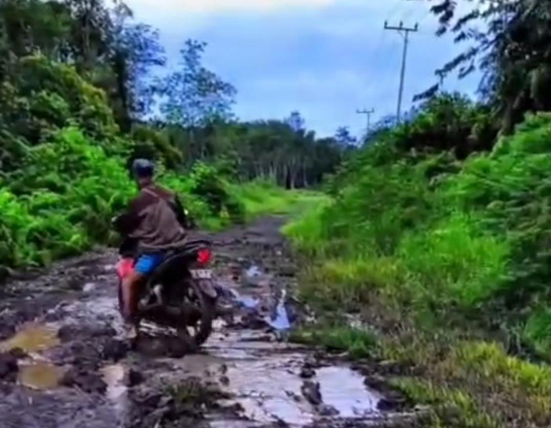 Pemkab Kotim Terjunkan Tim Teknis Tinjau Jalan Rusak di Desa Soren