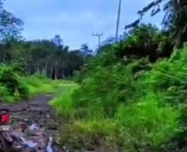 Perbaikan Jalan Camba–Soren Terkendala Status Kawasan 