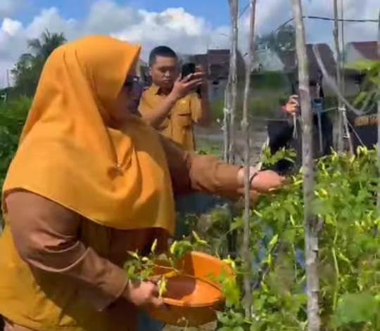 Pemkab Kotim Dukung Pengembangan Hortikultura untuk Ketahanan Pangan