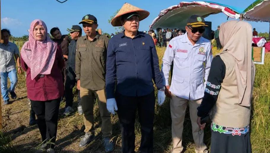 Pemkab Kotim Kolaborasi Wujudkan Swasembada Pangan Nasional