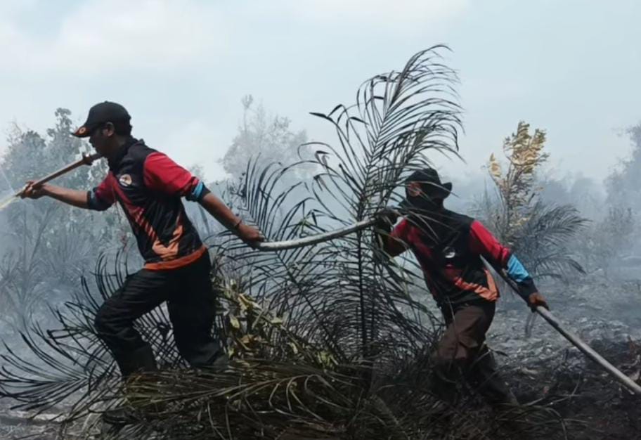 BPBD Kotim Catat 176 Hektare Lahan Terbakar, Hotspot Capai 452 Titik