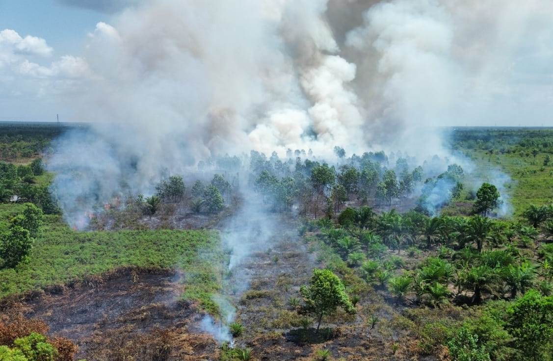 Karhutla Kotim Meluas, BPBD Sebut Sudah 138 Kejadian, Lahan Terbakar 300 Hektare